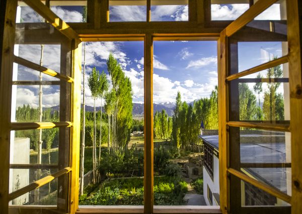 Cost of Wood Window Replacement in San Diego