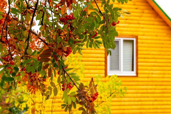 Cost of Garden Window Replacement in San Diego